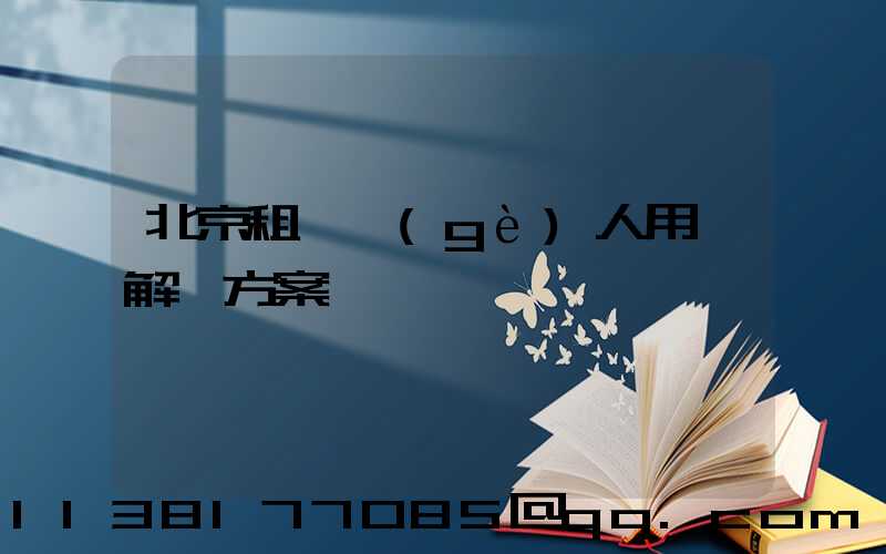 北京租車個(gè)人用車解決方案