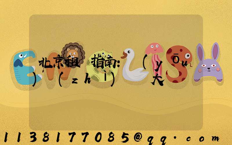 北京租車指南：優(yōu)質(zhì)車輛大盤點