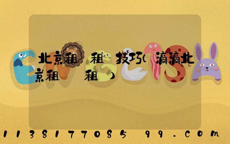 北京租車租車技巧(滴滴北京租車網租車)