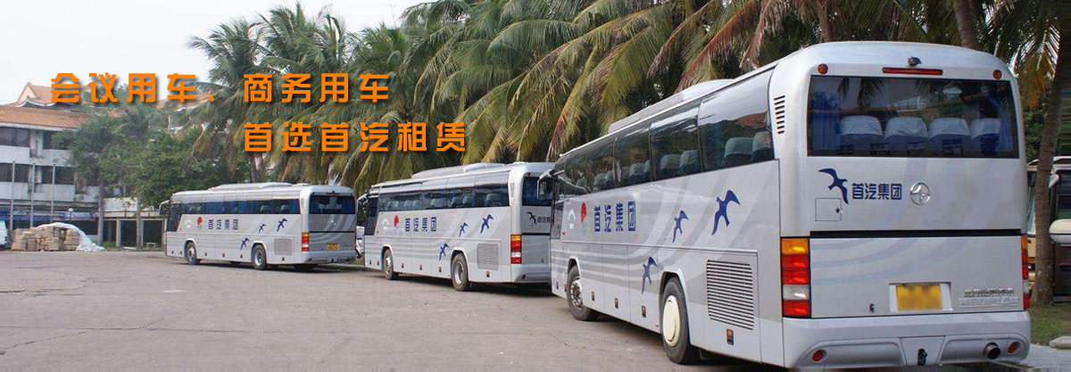 商務(wù)用車(chē)